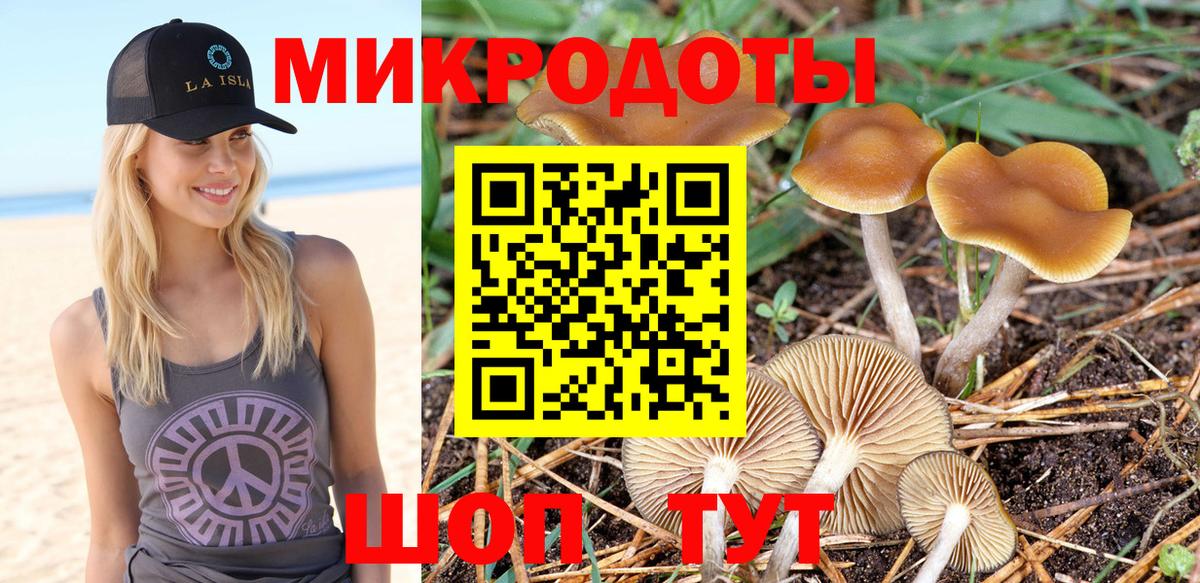 продажа наркотиков  Псилоцибиновые грибы Psilocybine cubensis  Ипатово  Вход с VPN  Псилоцибиновые грибы ЛСД 
